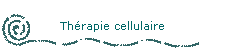 Thérapie cellulaire