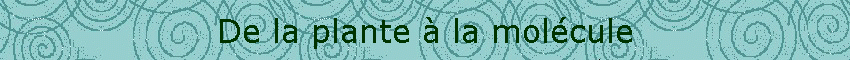 De la plante  la molcule