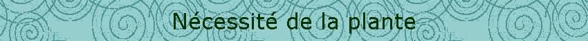 Ncessit de la plante